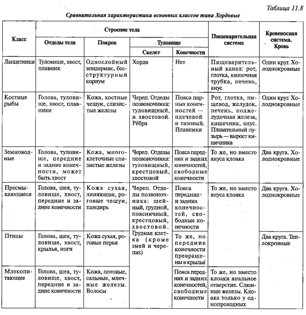 Биология характеристика класса животных. Общая характеристика хордовых 7 класс биология таблица. Общая характеристика хордовых животных 7 класс таблица. Общая характеристика хордовых 7 класс таблица. Общая характеристика типа Хордовые таблица.