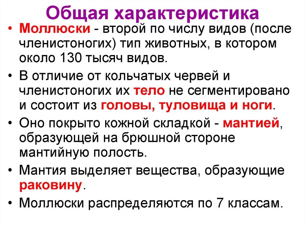 Общая характеристика классы моллюсков. Характеристика типа моллюски 7 класс. Общая характеристика моллюсков 7 класс биология. Общая характеристика типа моллюски 7 класс биология. Бщую характеристику типа моллюск.