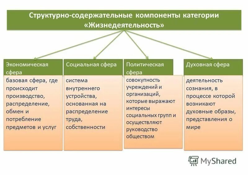 Социально экономическая жизнедеятельность общества