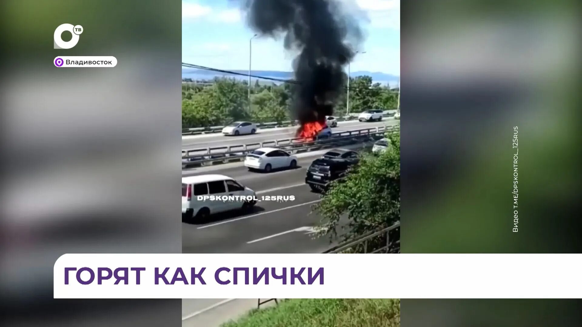 Почему пахнет жженой резиной. Дым от горелых деревьев. запах дыма. запах жженой резины авто. москва опять в дыму.