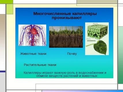 Проявление капиллярности в технике