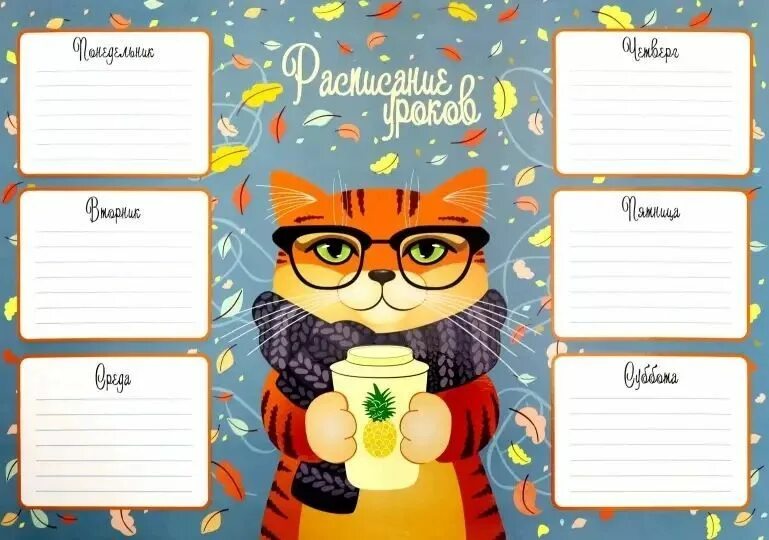 Расписание уроков, листов: 1 - купить с доставкой по выгодным ценам в интернет-м
