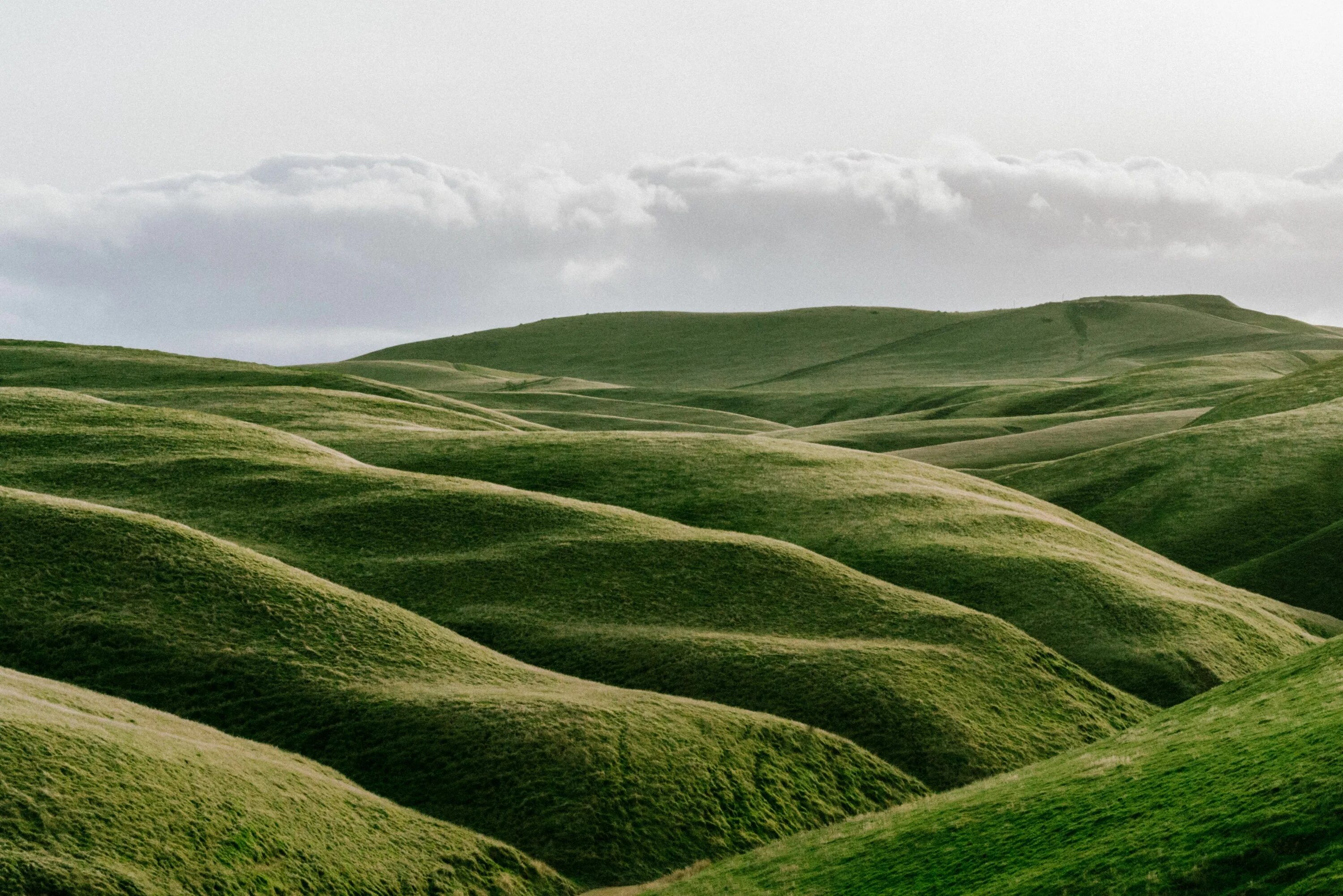 Rolling hills. Холмистая равнина рельеф. Равнинно Холмистая местность. Холмистая местность в Белоруссии. Всхолмлённая равнина.