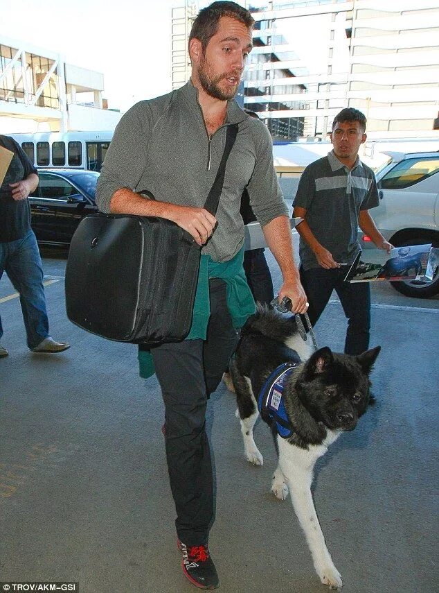 Паттинсон собака. Французский бульдог тома харди. Парень и его собака 1974. Том харди с собакой. Офицер роб и его собака.