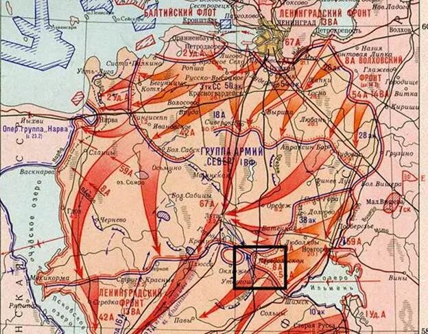 Ленинградско-Новгородская операция карта. Новгородско-Лужская наступательная операция 1944 карта. Ленинградская операция 1944. Операция март 1944