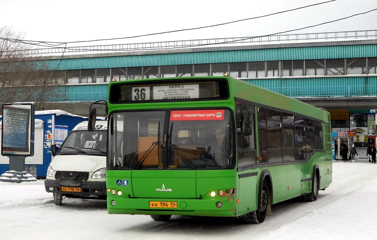 Транспорт новосибирск автобус. Новосибирск автовокзал ПАТП-4. МАЗ 103 465 2022. МАЗ 103 Новосибирск. МАЗ 103 465 Новосибирск.