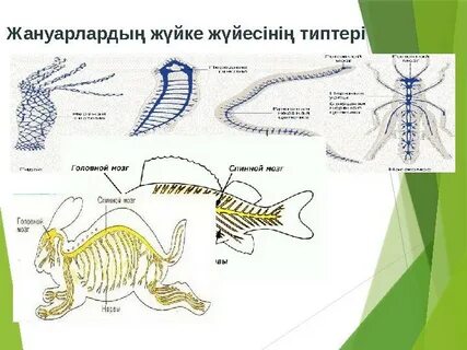 HD форматында әдемі, томпақ украиндық әйелмен секс