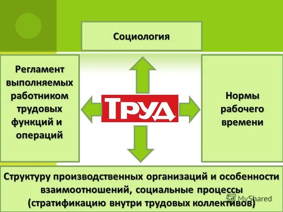 Обществознание 10 класс менеджмент