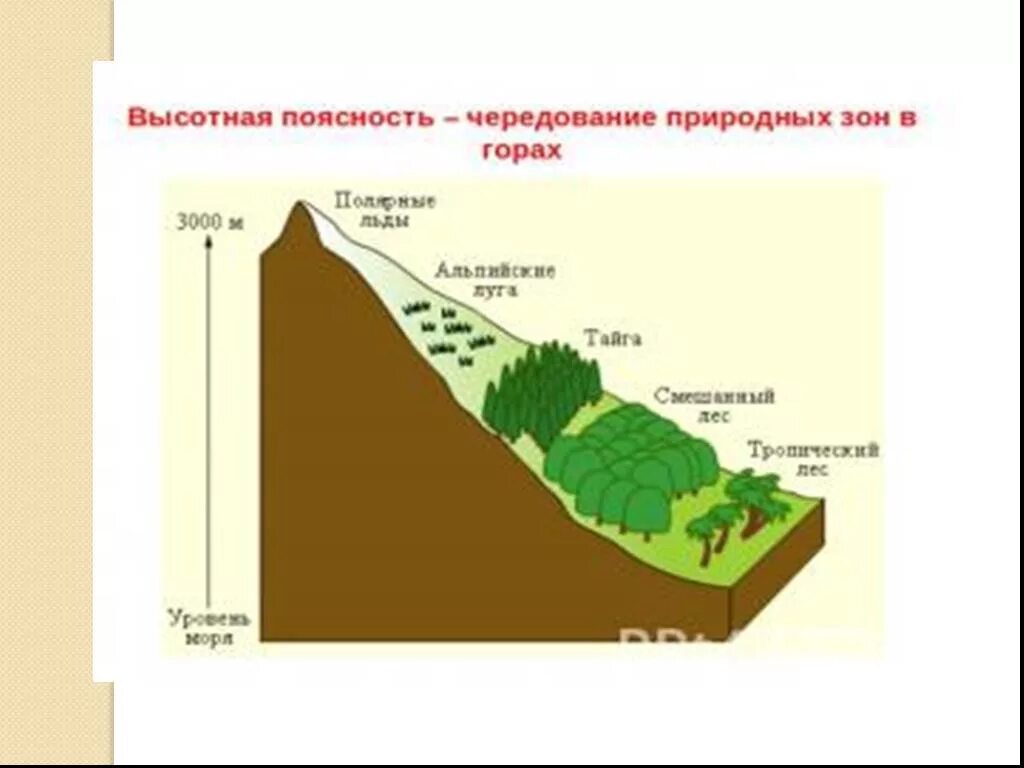 Высотная поясность это смена природных зон