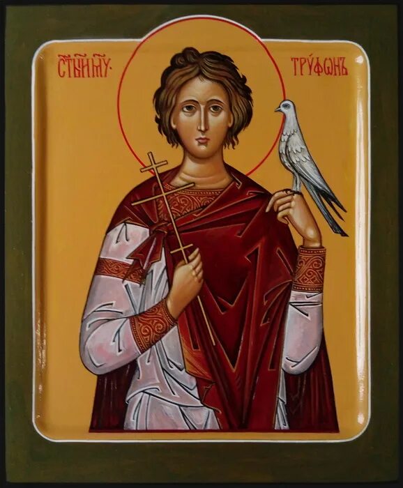 Образ Святого Трифона икона. Святой трифонова