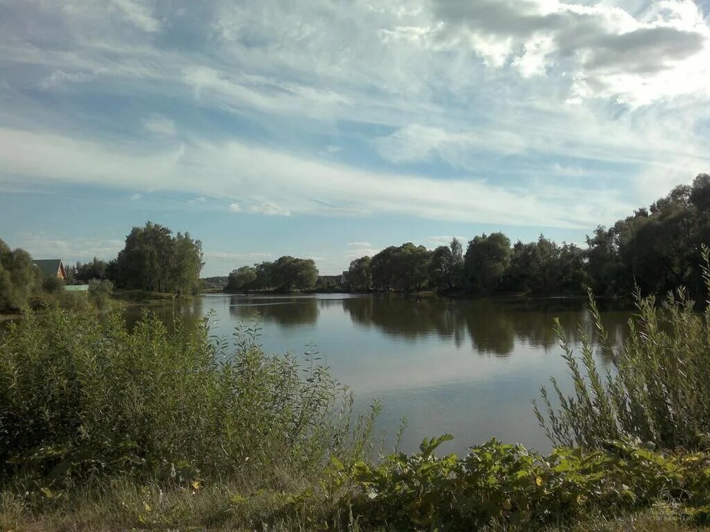 Большое карасево коломенский. Деревня малое карасево. Большое карасево коломенский. Коломна деревня. Большое карасево коломенский.