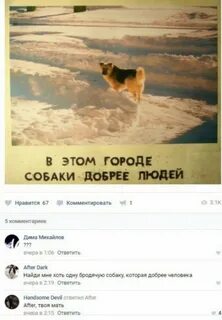 Комментарии людей