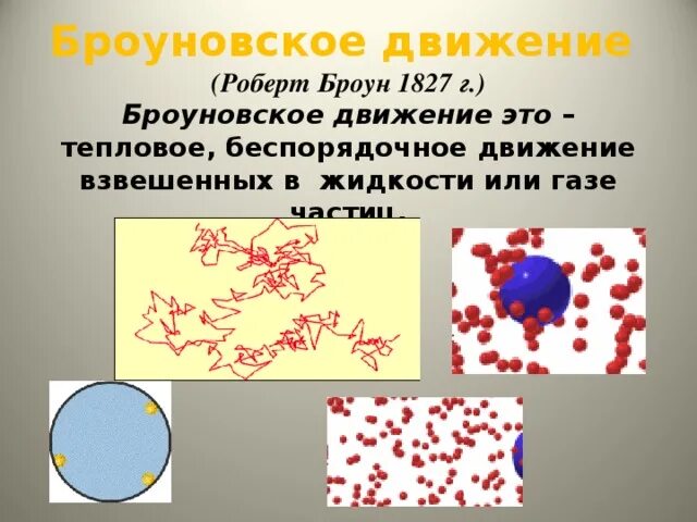 Броун броуновское движение наблюдал. Броун портрет броуновское движение. Броуновское движение днем и ночью