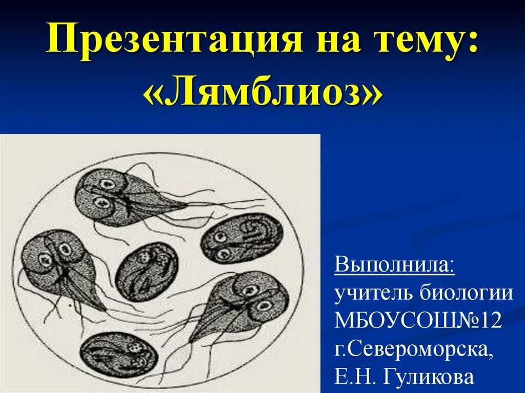 Что значит лямблия. Презентация на тему лямблиоз. презентация на тему лямблии. лямблия презентация.