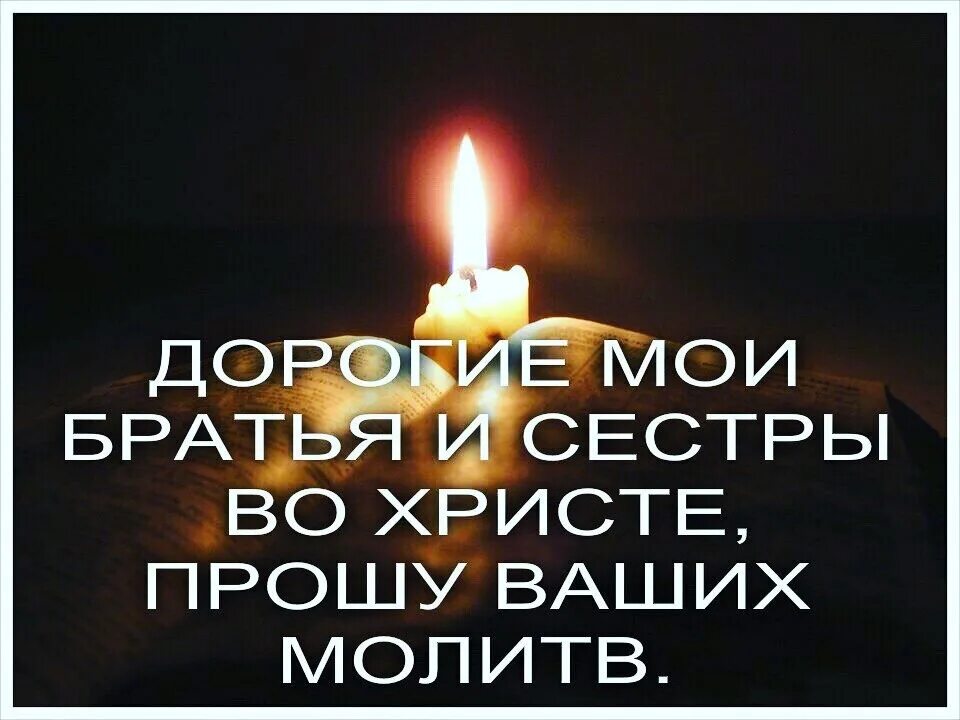Брат требует сестру. Цитаты про брата и сестру. Брат требует сестру. Хадисы про грехи. Картинки брат за сестру.