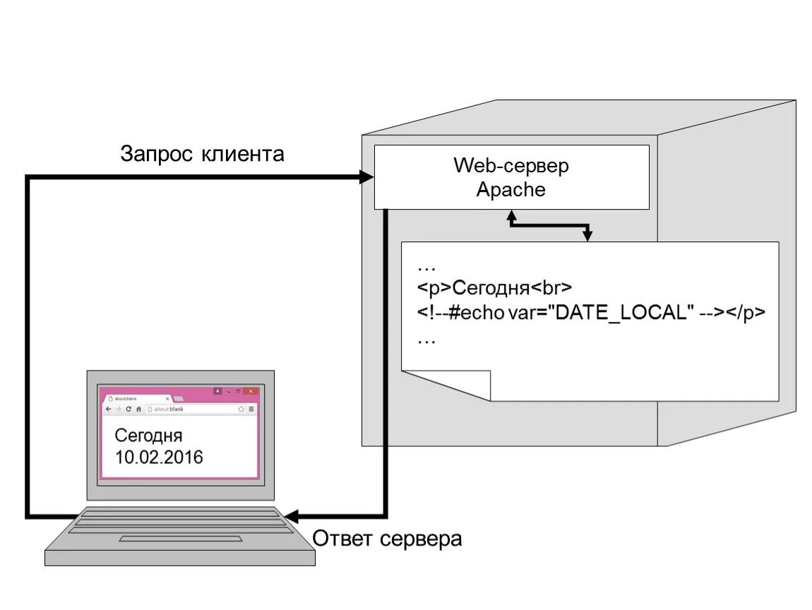 Web сервер. Клиент сервер и веб сервера. Принцип работы веб сервера. Локальный web-сервер. Ответы веб сервера