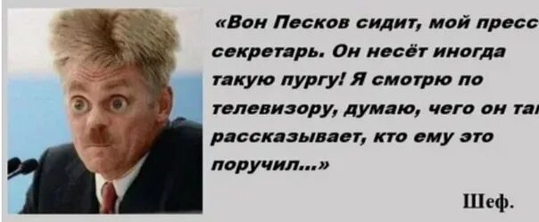 Песков несет пургу. Человек Пурга Песков. Иногда такую пургу несет. Несущего пургу пескова