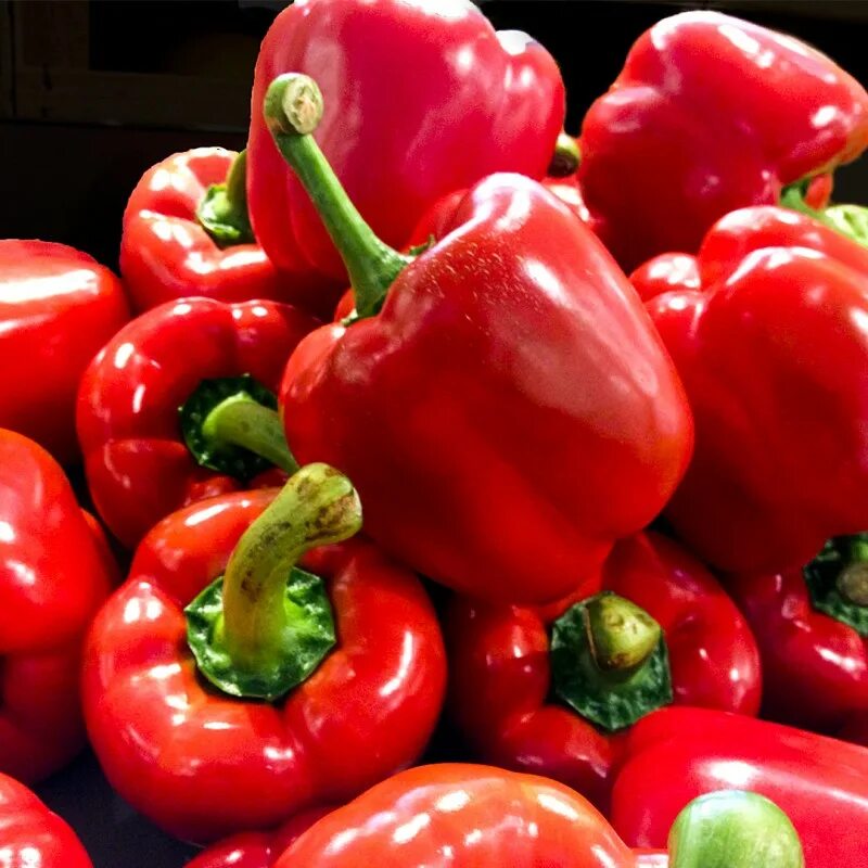 Start Your Own Tomatoes and Peppers from Seed in January - Native Nurseries