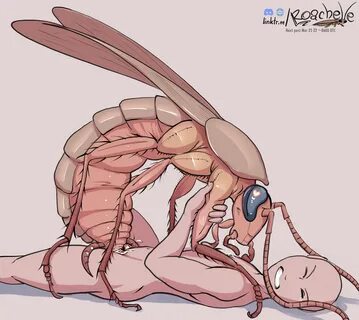 Rule 34 insects - Rule 34 insect girl cum : ZeBlackBallD Breeding the Wid.....