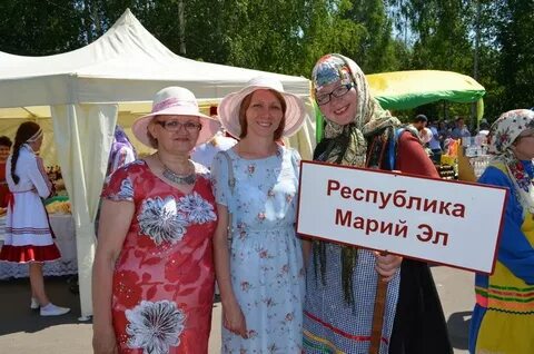 Погода ципья