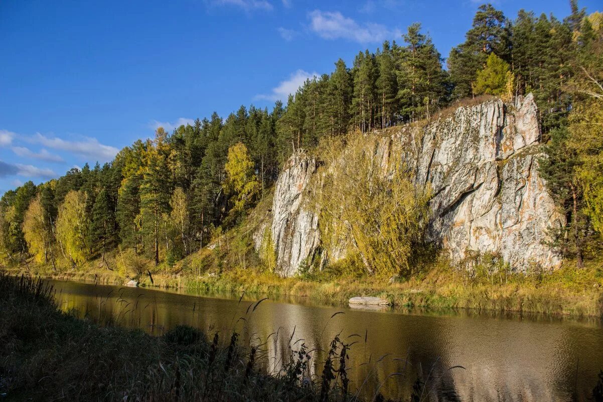 Какая природа в свердловской области. Река Чусовая камень Максимовский. Река Чусовая Ревда Свердловской области. Река Чусовая Урал. Река Чусовая Свердловская область парк.