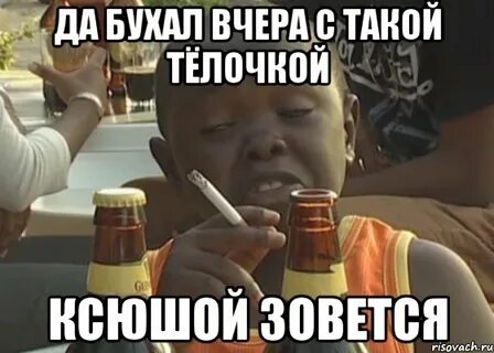 Видео про бухать
