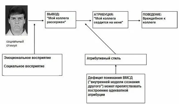 Социальные когнитивные функции. Социальные когнитивные функции. Снижение когнитивных функций. Особенности формирования социальных установок. Социальные когнитивные функции.