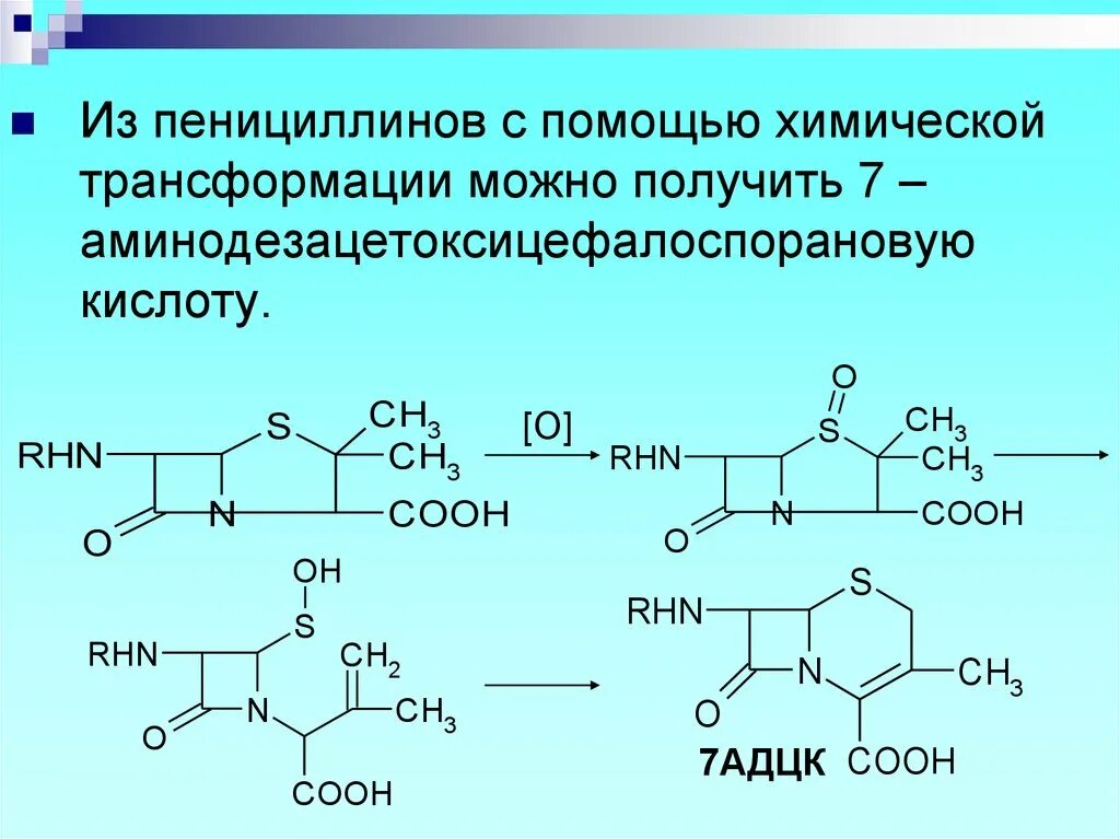 Синтез пенициллина. Аминопенициллановая кислота. 6-Аминопенициллановая кислота. Получение 6-аминопенициллановой кислоты. Получение пенициллинов.