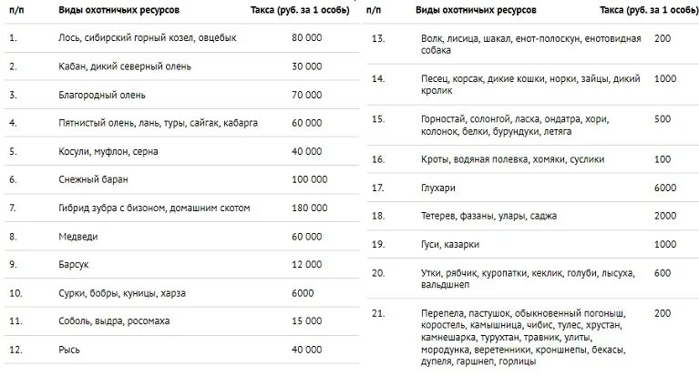 Сколько штраф за животных. Таблица штрафов за сбитых животных в россии. штрафы за сбитых животных 2025 таблица. штраф за сбитое животное. стаф за сбитое животное.