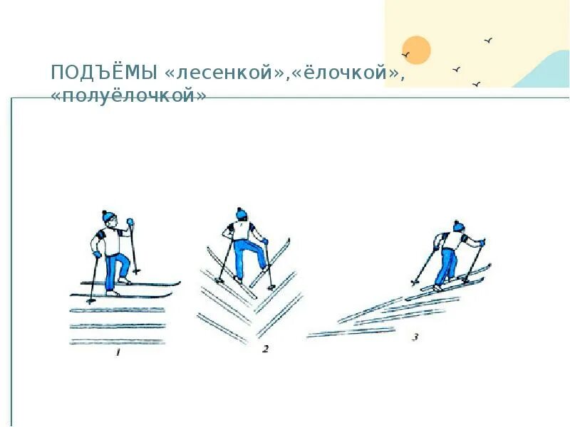 Техника выполнения подъема елочкой на лыжах. Елочкой на лыжах. Подъем елочкой. Подъём ёлочкой на лыжах техника. Подъем елочкой.