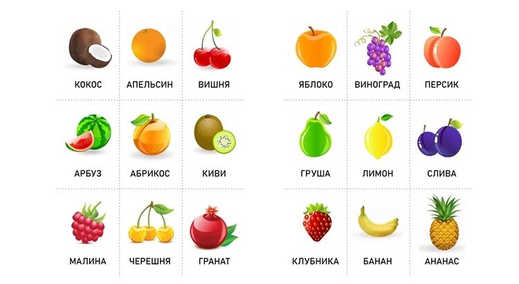 Hand drawn fruits graphics vector 01 - Vector Food free download Vector free, Ho