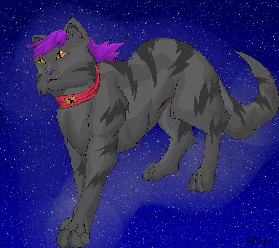 Коты воители синяя звезда. Воители знамение. Коты воители знамение звезд. Коты воители звездоцап. Коты воители белка знамение звёзд.