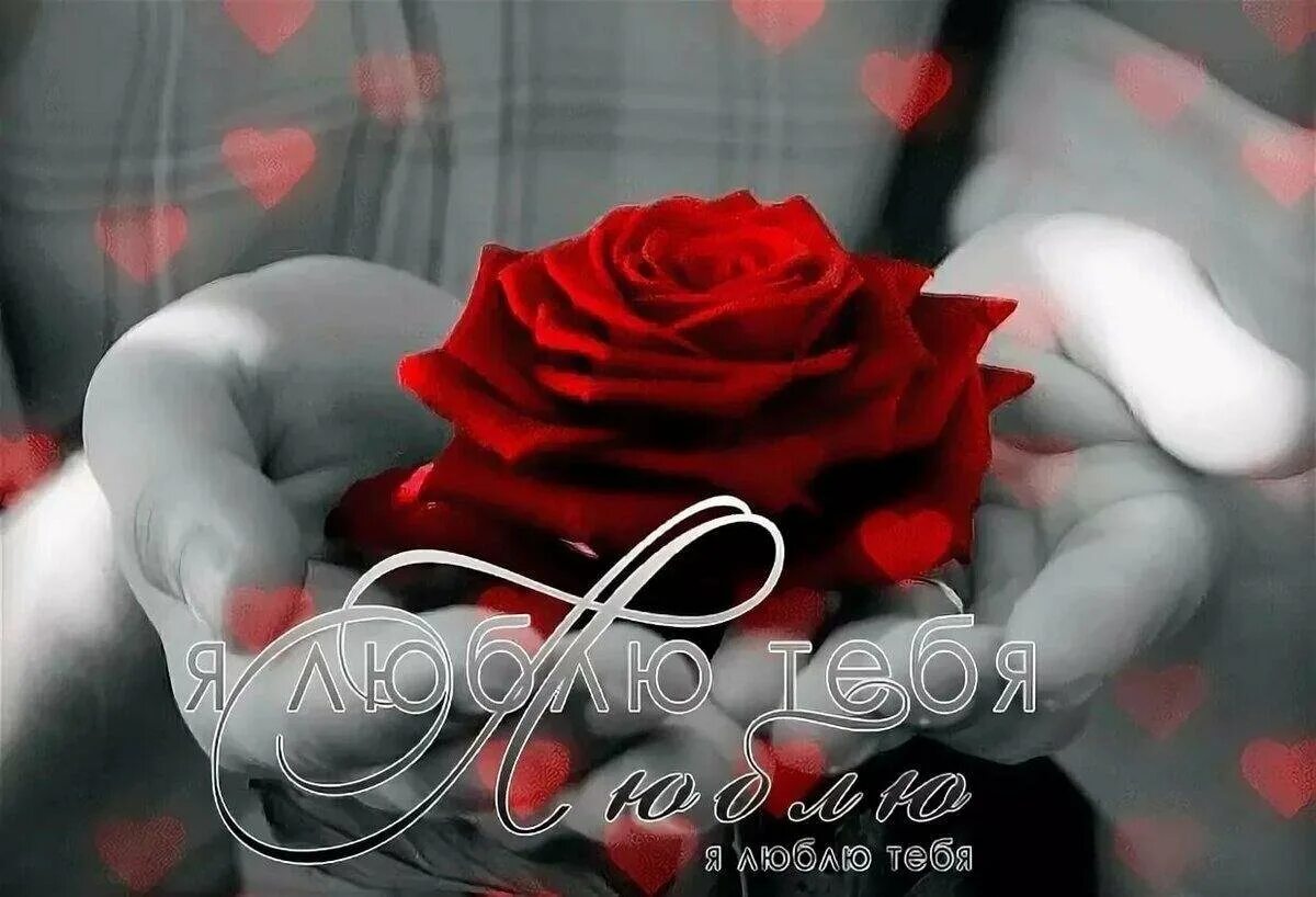 Красивые открытки о любви к женщине. Живая открытка для любимой женщины. Открытки любимой gif. Красивые открытки про любовь. Открытки любимой женщине.