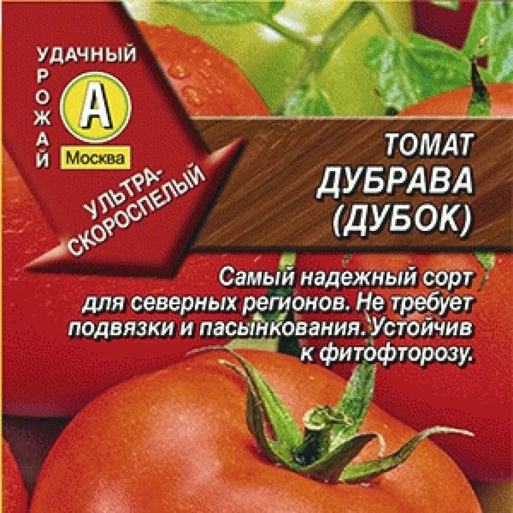 Томаты сорт дубок отзывы. Томат дубрава дубок. томат сорт дубрава. семена томата дубрава. помидоры сорт дубок характеристики.