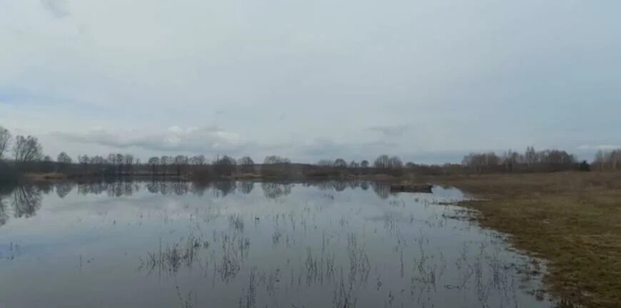 Уровень воды река цна. Река Гужовка Рязань. Рязань лесопарк затоплен. Половодье 1994 год уровень реки Оки Рязань. Река Ока разлилась.