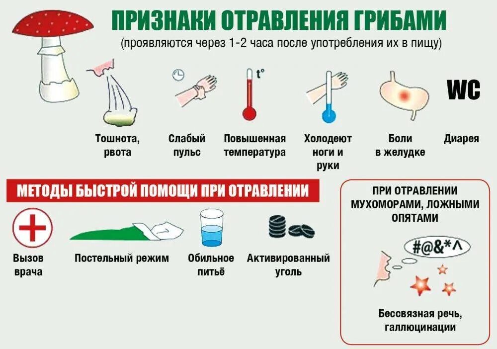 Вызвать сильное отравление. Отравление грибами клинические проявления. Отравление ядовитыми грибами симптомы и первая помощь. Симптомы при отравлении ядовитыми грибами. 1 Симптомы при отравлении грибами.