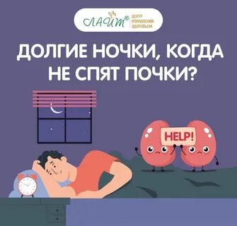 Почки спят