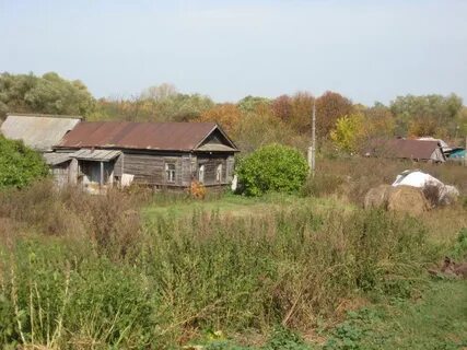 Погода в какино