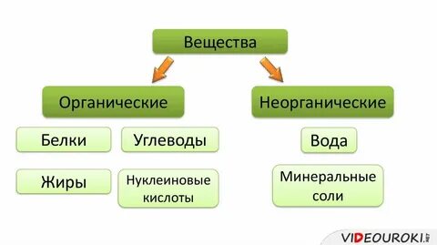 Вещества относящиеся к белкам