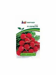 Редис селеста описание