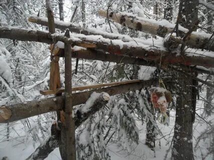 Ловушка на куницу