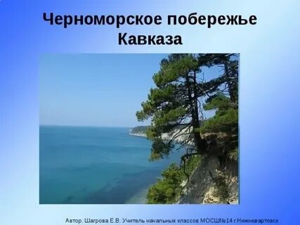Животный мир черноморского побережья