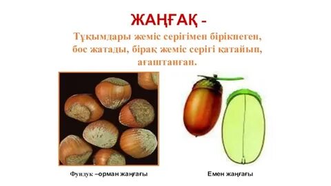 Порно анасы ұлын көреді