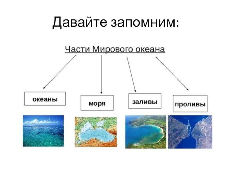 Части океана 5 класс