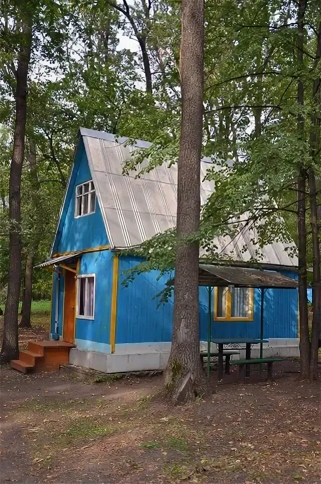 Чувашский сускан сашуля. Чувашский сускан ульяновская область турбаза. Турбаза сашуля димитровград. Турбаза димитровград. Турбаза сашуля димитровград.