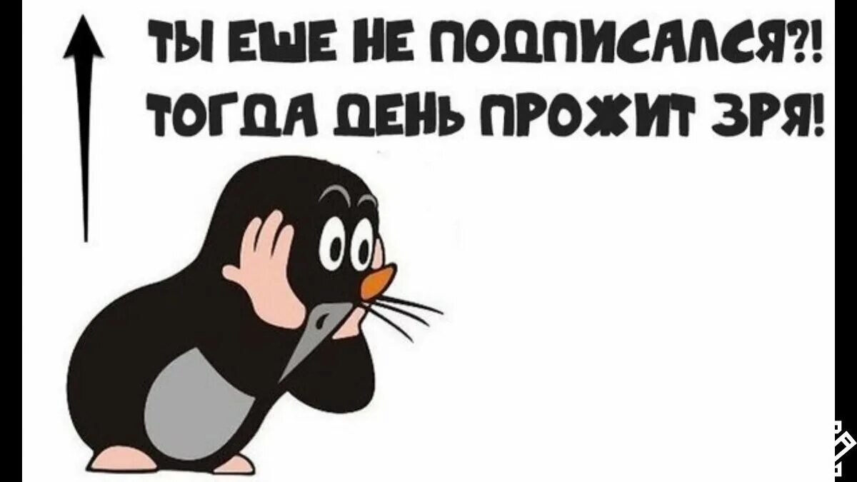 Подпишись на весну. Смешная картинка Подпишись. Подпишись на группу. Подписываетесь на паблик. Подпишись на сообщество.