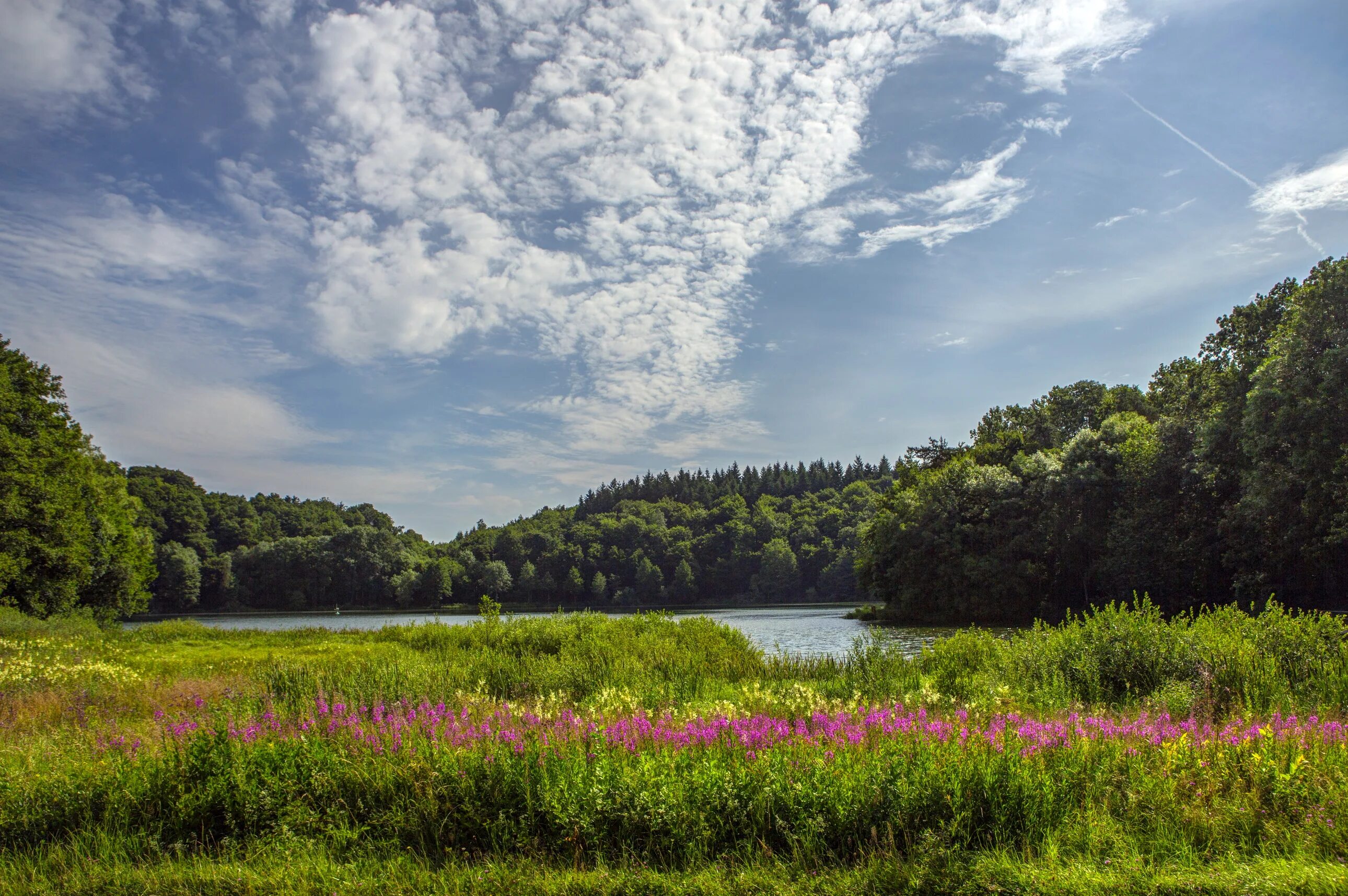 Река Луга в Ленинградской области. Терезинский луг. Красивые Луга. Природа Германии.