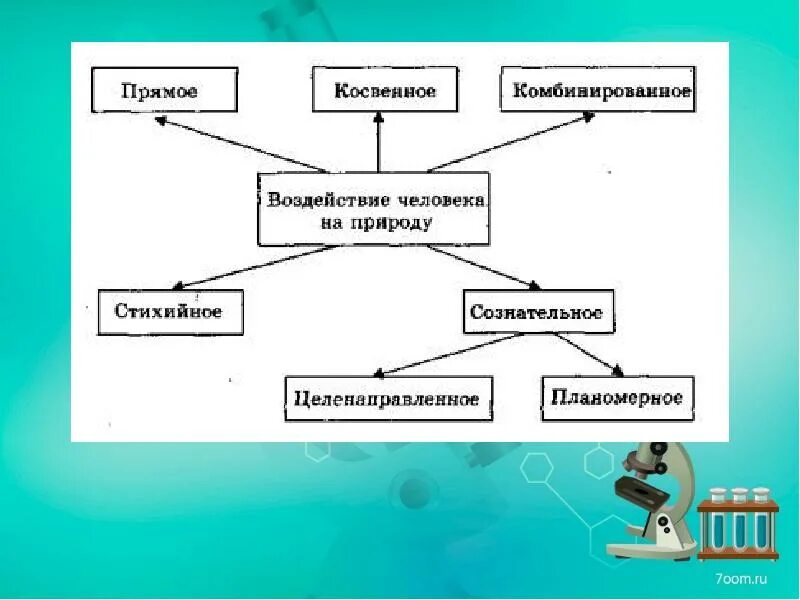 Прямое воздействие определение. Кластер влияние человека на природу. кластер воздействие человека на природу. влияние человека на природу схема. прямое и косвенное влияние человека на природу.