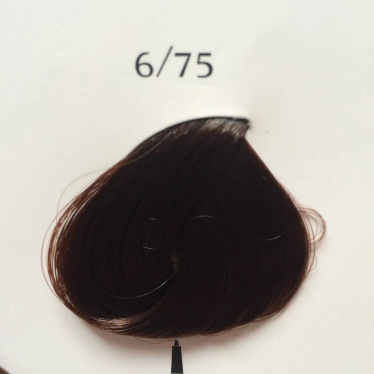Краска кедра. Краска kydra 6/75. краска kydra 6/45. kydra creme крем-краска 6/75. kydra nature палитра 6/77.