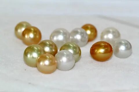Sea pearl 4